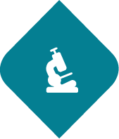 Research Icon
