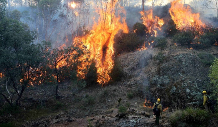 Australian bushfires