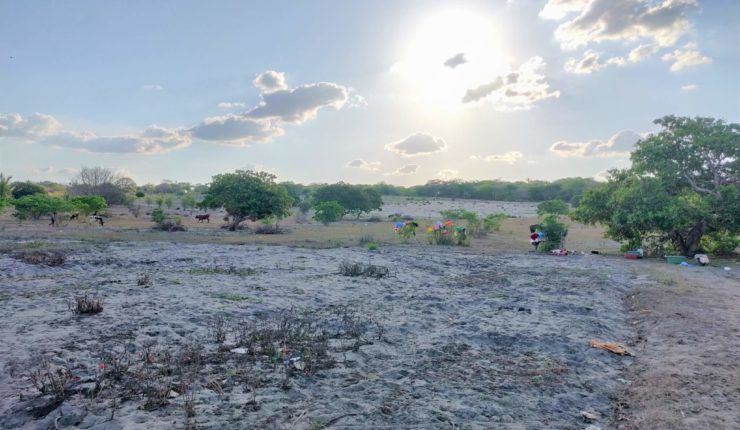 Southern African food crisis victims receive £50,000