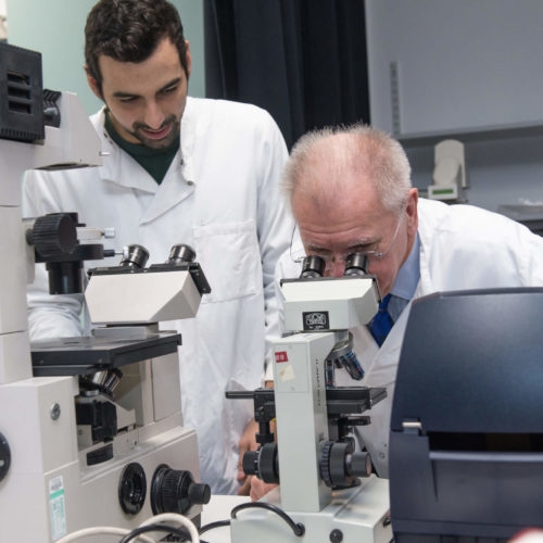 New arthritis study at University of Liverpool