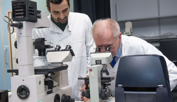 New arthritis study at University of Liverpool