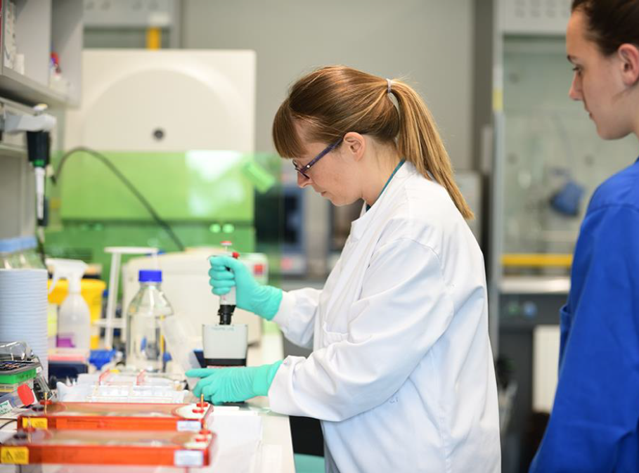 UAE prostate cancer research