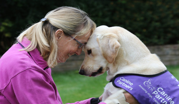 Dogs supporting people with disabilities