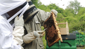 john beekeeping after turning his live around thanks to better mental health